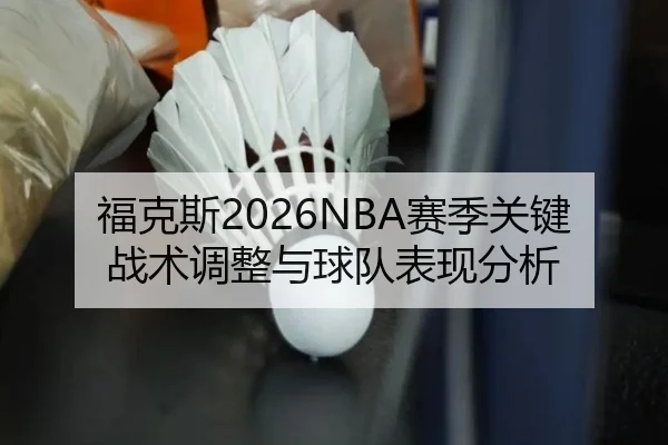 福克斯2026NBA赛季关键战术调整与球队表现分析