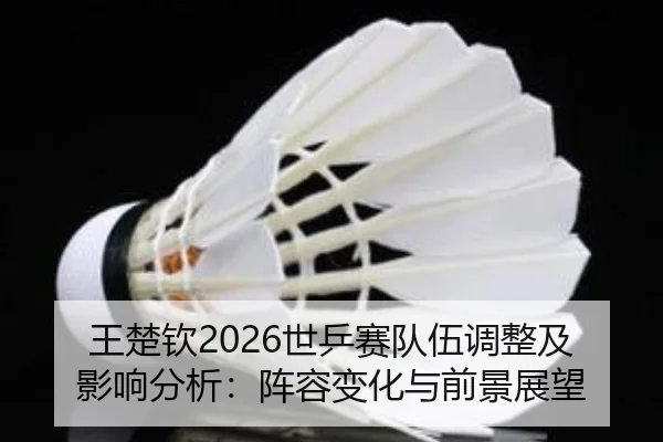 王楚钦2026世乒赛队伍调整及影响分析：阵容变化与前景展望