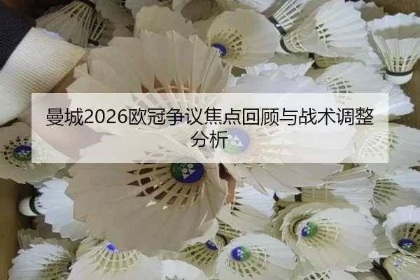 man-cheng-ou-guan-zheng-yi-jiao-dian-hui-gu-yu-zhan-shu-tiao-zheng-fen-xi-2-717.jpg