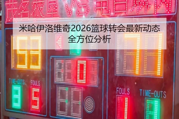 米哈伊洛维奇2026篮球转会最新动态全方位分析