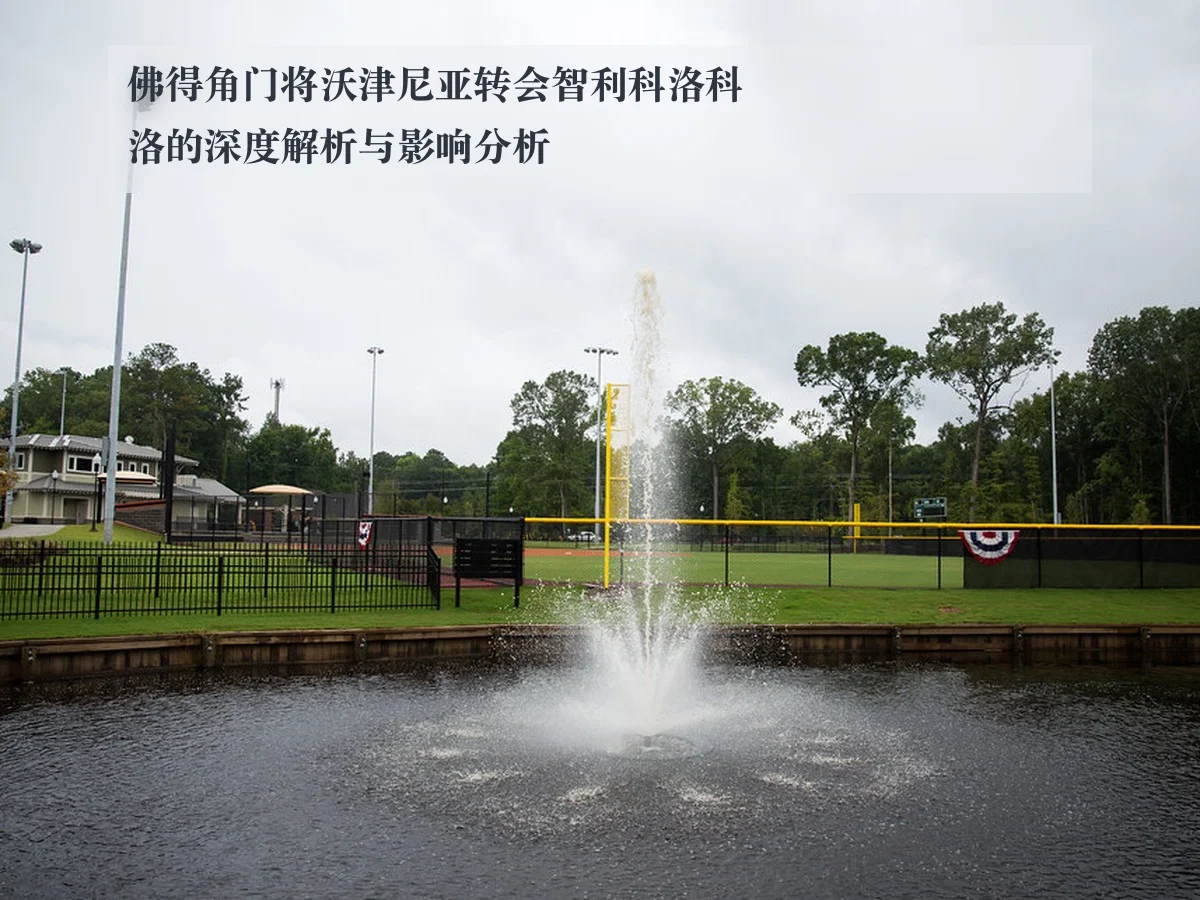 佛得角门将沃津尼亚转会智利科洛科洛的深度解析与影响分析